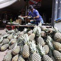 Abacaxi e tangerina estão entre os frutos na safra