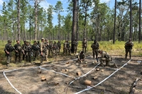 Além do efetivo do Pará, outros 41 militares de diversas Organizações Militares do Brasil integram o grupo, totalizando 221 militares do Exército Brasileiro