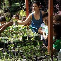 Metodologia engloba o desenvolvimento de habilidades e atitudes essenciais para tornar o mundo um ambiente mais sustentável