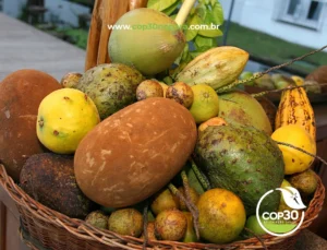 Descubra os Sabores Únicos e Exóticos das Frutas do Pará