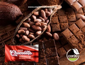Pará: O Maior Produtor de Cacau do Brasil e Novo Terroir de Chocolates Finos