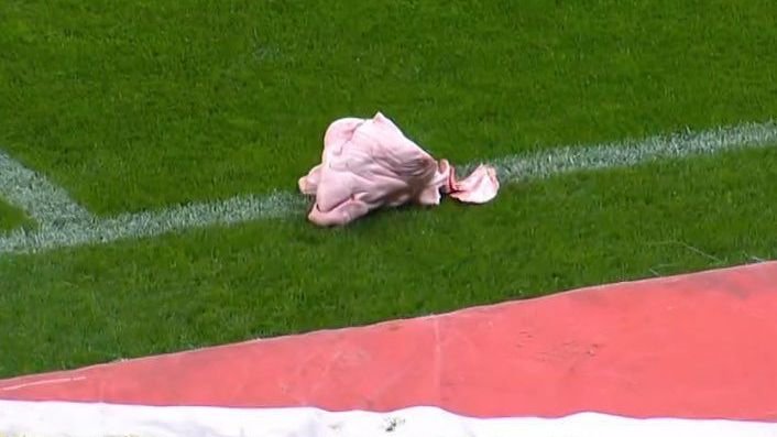 Cabeça de porco arremessada no gramado no clássico entre Corinthians e Palmeiras