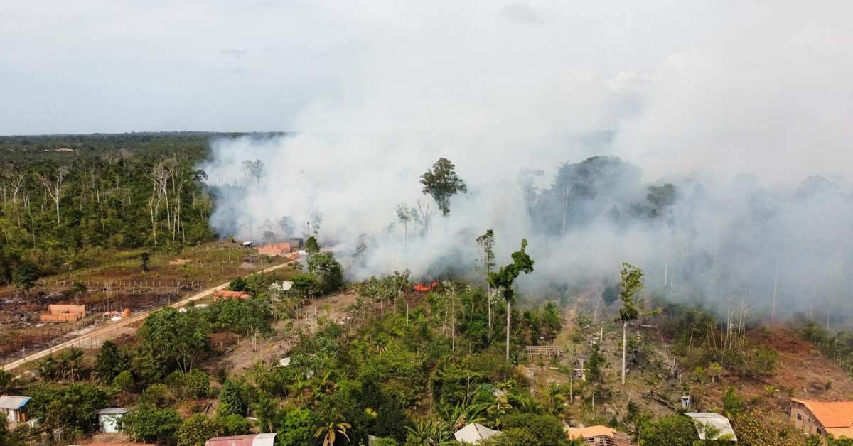 Fogo em Mosqueiro: órgãos municipais buscam soluções para o controle das chamas