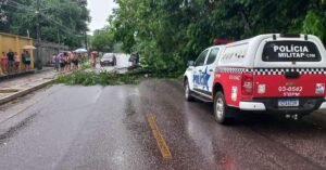 Árvore cai e mata motociclista em Castanhal