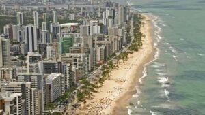 Comitê que monitora tubarões emite alerta para banhistas de Pernambuco