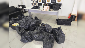 Líder do PCC é preso ao desembarcar de cruzeiro em Santos (SP)