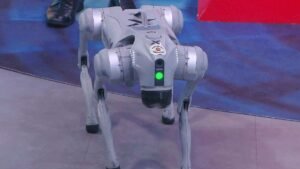 Veja como funciona o cão robô da GCM que será usado no Réveillon na Avenida Paulista (SP)