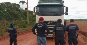 Sefa apreende 40 toneladas de adubos fertilizantes sem nota fiscal, em Dom Eliseu