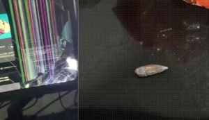 Bala perdida de fuzil atinge PC de gamer enquanto jogava no RJ: “Monitor foi de Vasco”