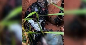 Corpo de homem assassinado é encontrado em lixão na região garimpeira de Itaituba