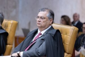 Dino dá prazo de 30 dias para governo concluir planos contra queimadas