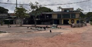 Outeiro e Icoaraci ganham destaque na COP 30, mas enfrentam desafios estruturais