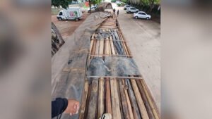 PRF apreende 55 m³ de madeira ilegal em Marabá