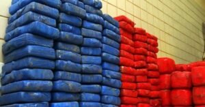 Pará bate recorde histórico com a apreensão de 13 toneladas de entorpecentes em 2024