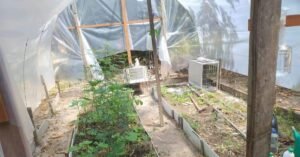 Polícia cumpre mandados e apreende drogas e armas em Benevides