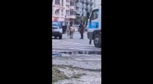 Vídeo: Homem rouba tartaruga marinha no Rio; PM devolve animal ao mar