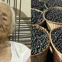 1738941101 263 Acai fiscalizacao termina com prisao de homem que vendia produto