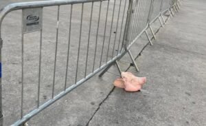 Cabeça de porco amanhece na porta do Allianz Parque antes de clássico contra o Corinthians