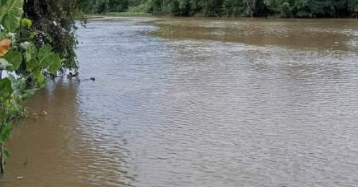 Tio e sobrinho morrem afogados em rio no nordeste do Pará