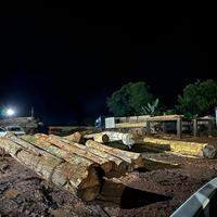 A imagem em destaque mostra a madeira apreendida durante a operação "Excelsa", que tem objetivo de reprimir a extração e comercialização de madeira da Terra Indígena Kayapó.