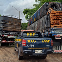 A imagem em destaque mostra uma viatura da Polícia Rodoviária Federal (PRF) próxima de duas carretas carregadas com madeiras.