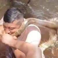 Momento em que o homem morde o animal