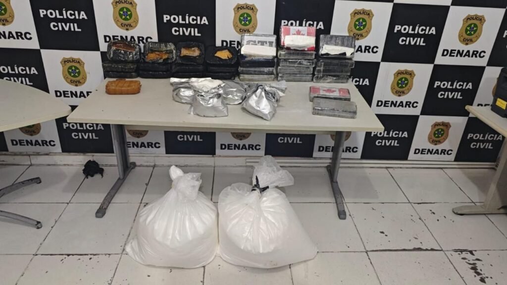 CNN Brasil