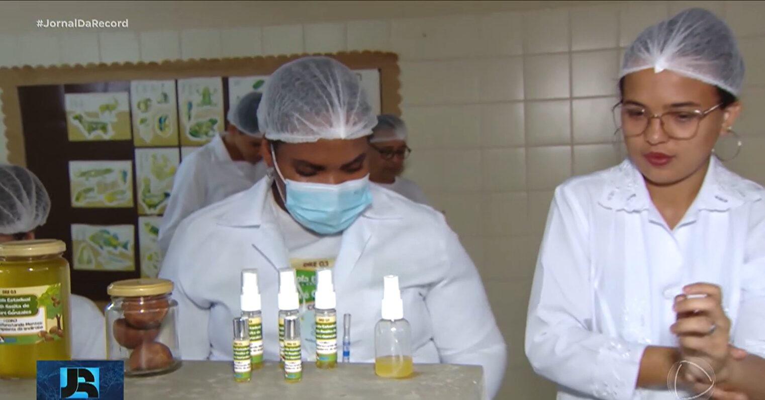 Estudantes do Pará desenvolvem repelente natural à base de andiroba