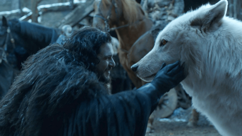 Qual é a relação dos lobos-terríveis com “Game of Thrones”?