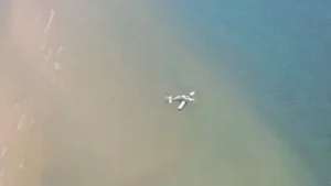 Vídeo mostra queda de avião da polícia na Tailândia