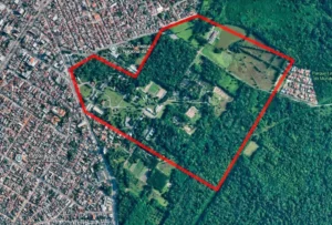 Photo of COP30 terá “AgriZone” em Belém para apresentar sustentabilidade do agro brasileiro