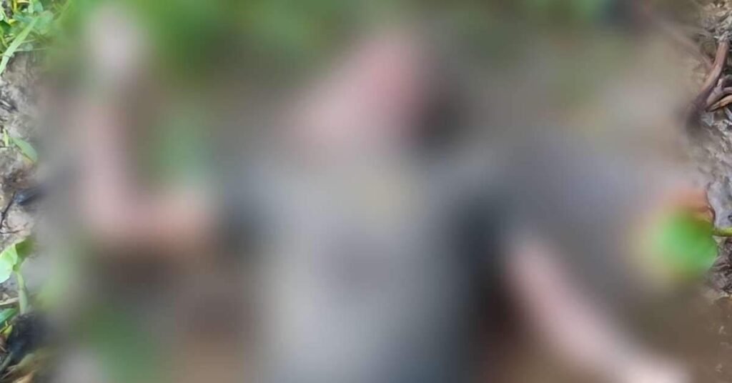 Homem é morto a tiros e terçadadas no Marajó; irmão é o principal suspeito