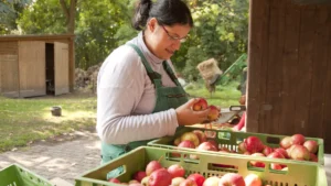 Países que mais desperdiçam comida - Brasil se destaca