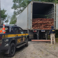 A imagem em destaque mostra um policial rodoviário federal perto de uma viatura da instituição e do caminhão que transportava a madeira.