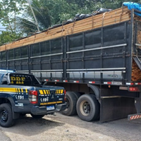 A imagem em destaque mostra um policial rodoviário federal perto da carreta que transportava a carga de madeira.