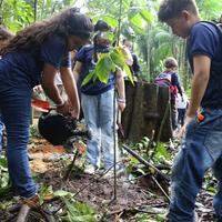 Crianças participaram da trilha das águas e plantaram uma árvore no Bosque Rodrigue Alves nesta sexta-feira (21/03).
