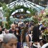 Mais de 100 mil pessoas circularam pelos corredores da  Feira do Cacau e do Chocolate Amazônia e Flor Pará.