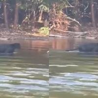 O encontro aconteceu durante uma viagem de pesca esportiva, no dia 8 de agosto