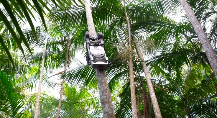 Açaibot: robô paraense revoluciona colheita do açaí e promete transformar a Amazônia