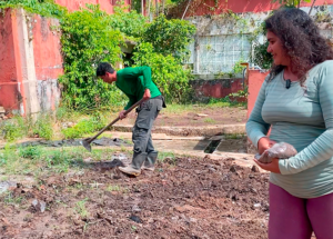 Antiga fábrica da Phebo vira horta urbana e inspira modelo de produção sustentável em Belém