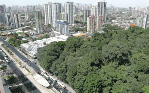 Belém terá 200 mil novas árvores com plano de arborização lançado no Dia do Meio Ambiente
