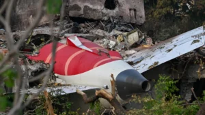 Colisão com aves pode ser "provável" causa da queda de avião na Índia