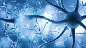 Infecção por parasita comum pode prejudicar seriamente a função cerebral