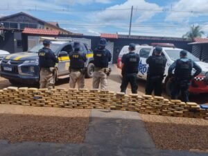 PRF e PM apreendem quase 245 kg de maconha em Anapu