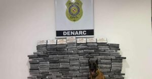 Polícia Civil apreende 200 tabletes de cocaína escondidos em carga de milho no Pará