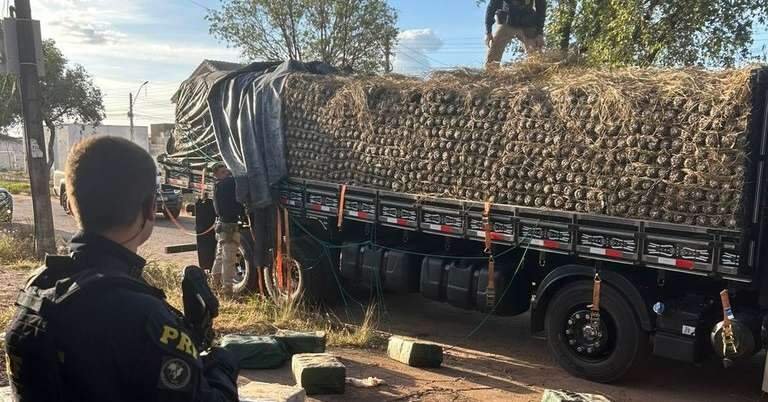 Quase meia tonelada de cocaína é apreendida em carga de abacaxis no Pará