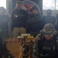 A imagem em destaque mostra agentes da Base Integrada Fluvial “Antônio Lemos” e o cão farejador "Anúbis" responsáveis pela apreensão.