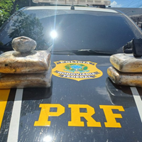 A imagem em destaque mostra a carga de skunk apreendida pela Polícia Rodoviária Federal (PRF) em cima de uma viatura da instituição.