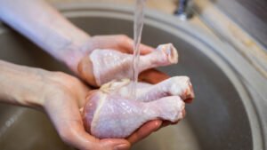 Gripe aviária: África do Sul e Cingapura retomam importação de frango brasileiro