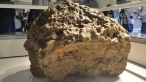 Fóssil de dinossauro é arrematado por R$ 170 milhões, e meteorito de Marte, por R$ 29 milhões
